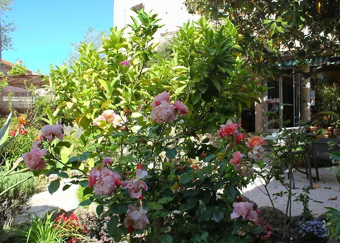 Hotel Les Palmiers